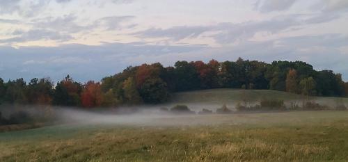 07:24:00 GMT-0500 (EST)