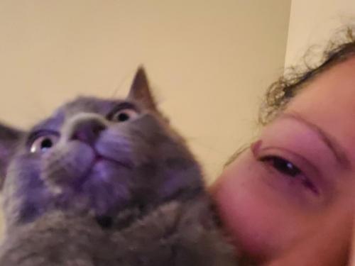 08:59:38 GMT-0800 (PST)