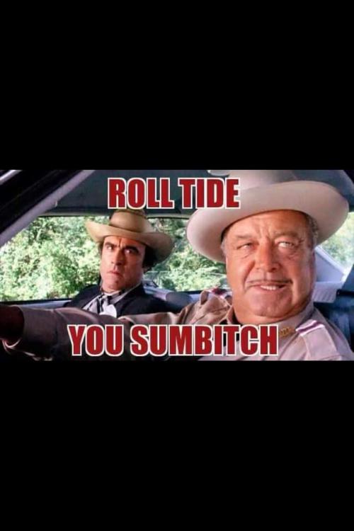 inbound6307459291109973045