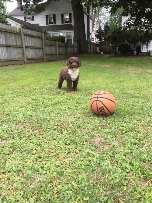 07:28:16 GMT-0500 (EST).image