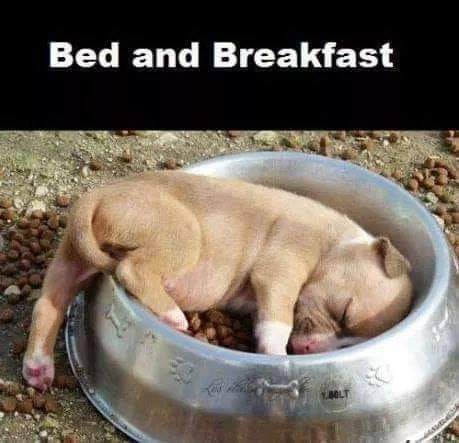 13:23:37 GMT-0500 (EST)