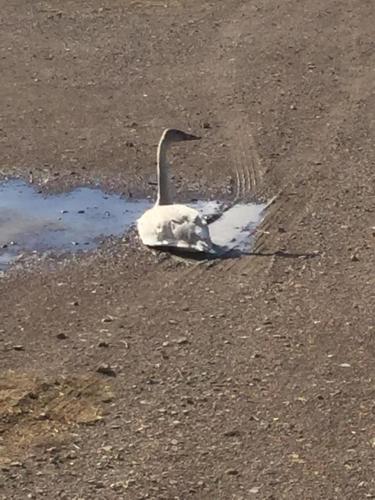 18:52:35 GMT-0800 (PST).image