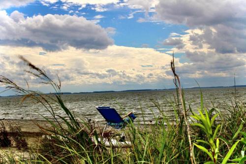 10:46:33 GMT-0500 (EST).image