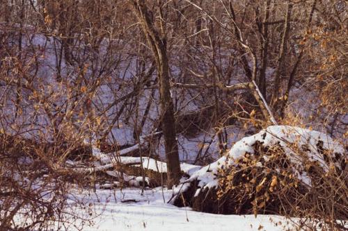 23:50:48 GMT-0600 (CST)