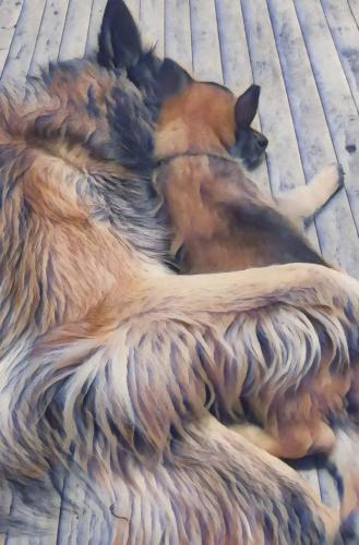 20:18:18 GMT-0600 (CST)