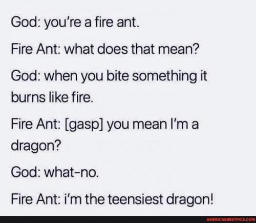 06:08:03 GMT-0600 (CST).image