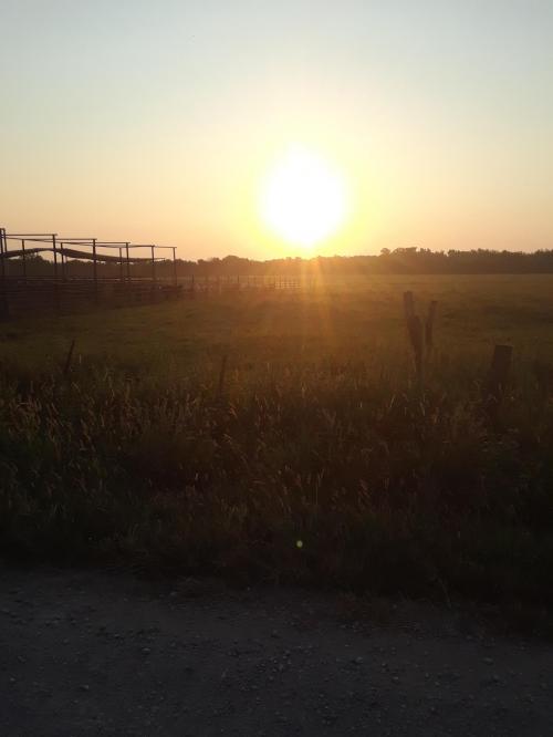 12:06:56 GMT-0600 (CST)