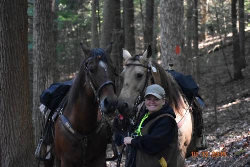 15:29:18 GMT-0500 (EST)