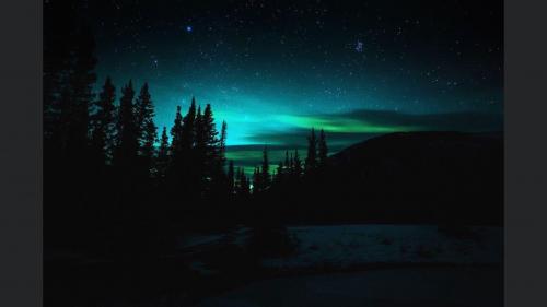 747444D3-BA38-49B1-9E7C-BB3A7687142F