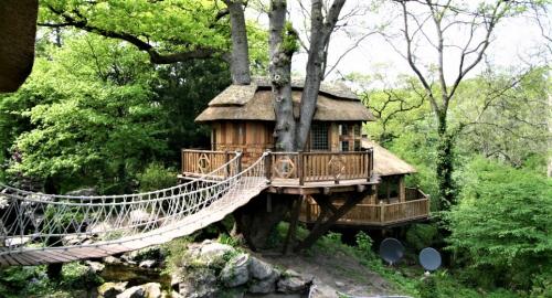 article-2110978-120C229C000005DC-700_964x575 (2)