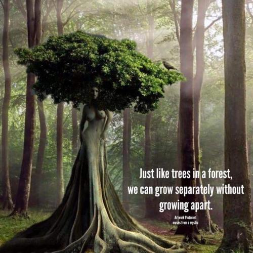 11:08:36 GMT-0500 (EST)