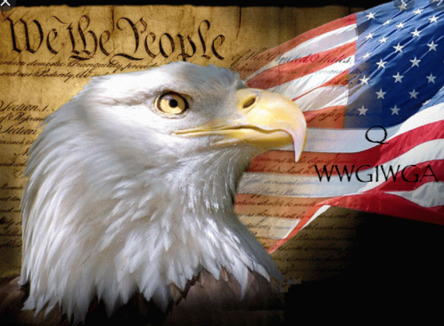 4AA84A69-7FA1-4535-A9A4-7521D5CA54A5