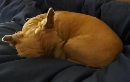 12:00:31 GMT-0800 (PST)