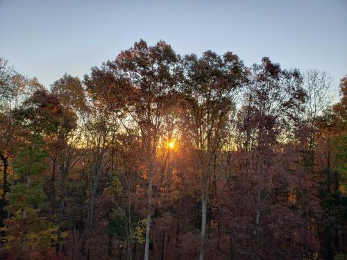 09:59:10 GMT-0500 (EST)