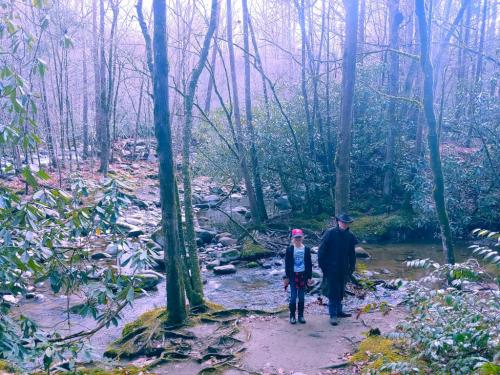 12:38:14 GMT-0500 (EST)