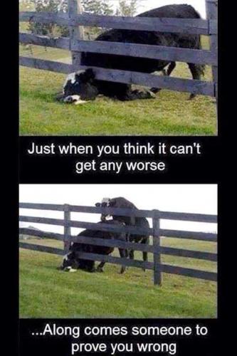 20:31:36 GMT-0500 (EST)