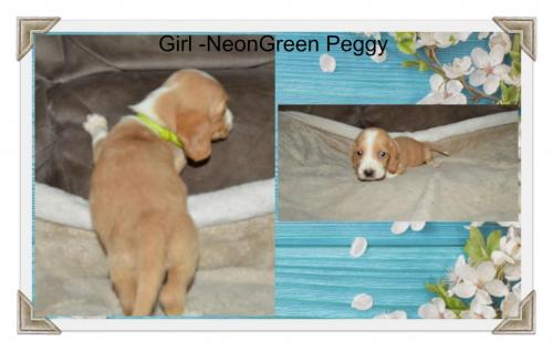 84291686_787599935079587_715666762695180288_o