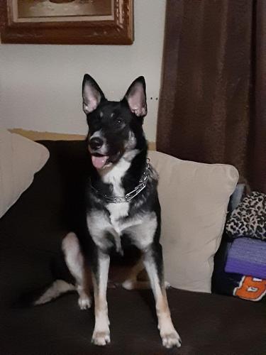 125834600_2456402857995246_7524094602275446286_n