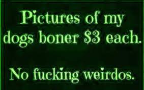 14:08:31 GMT-0500 (EST)