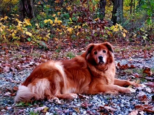 17:45:38 GMT-0500 (EST)