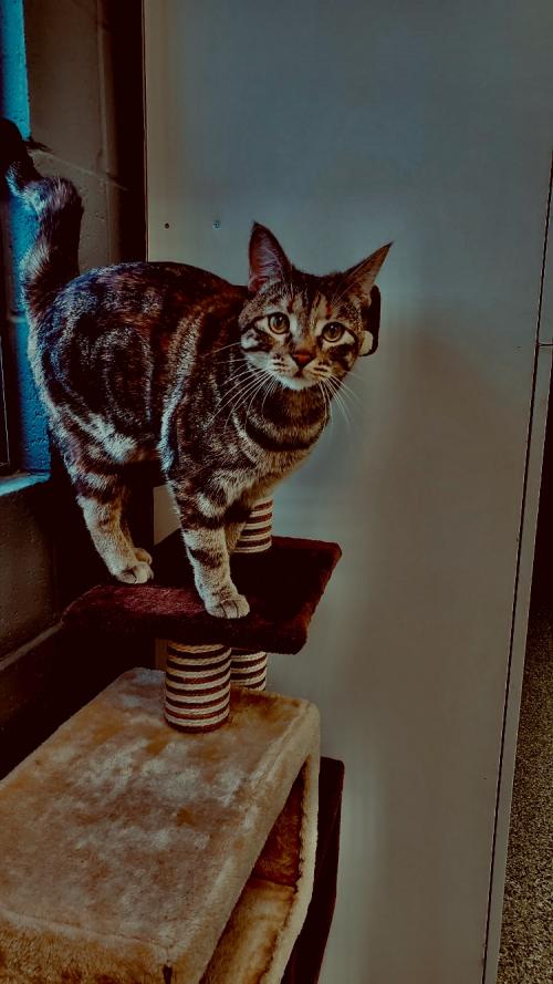 20:22:12 GMT+0100 (WAT).image