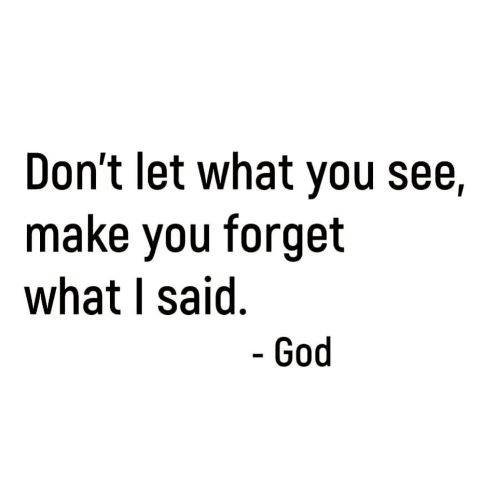 127769904_10158359912904022_4904599294797480974_n