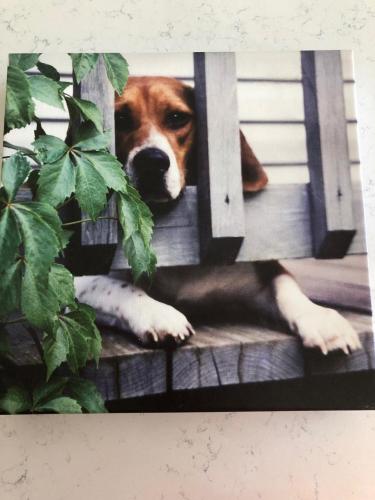 20:47:46 GMT-0500 (EST)