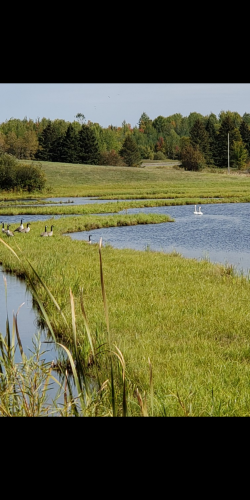 07:12:40 GMT-0600 (CST)