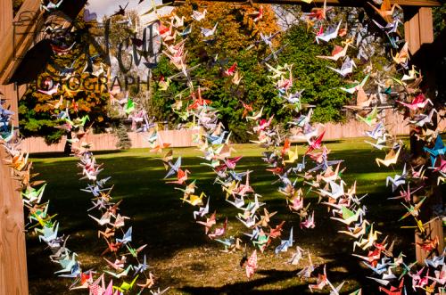 Cory and Angela Wedding 2015 (195 of 583)