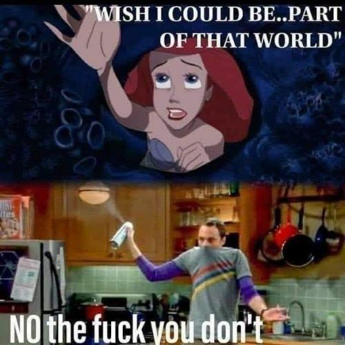 19:52:33 GMT-0500 (EST)