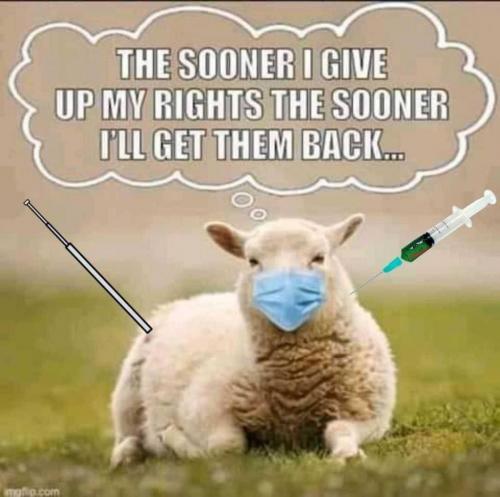 13:59:47 GMT-0700 (MST).image