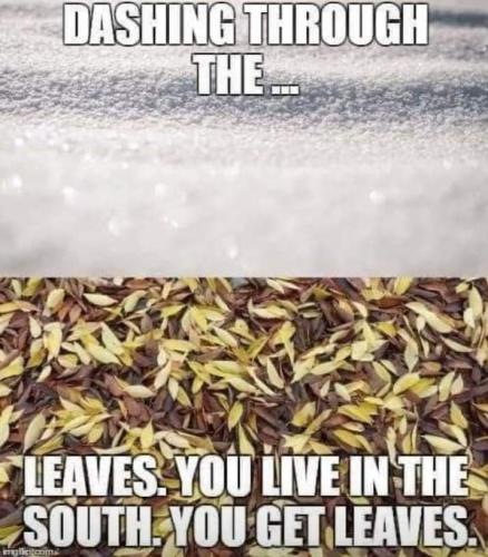 FB_IMG_1605629628416