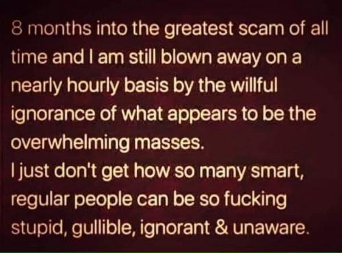 123968766_10159135660152313_2871590018365711320_n