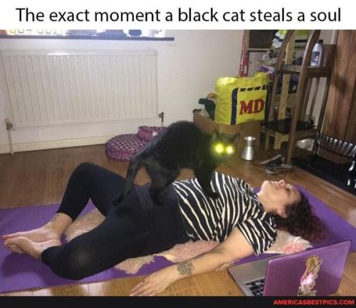 20:23:32 GMT-0600 (CST).image