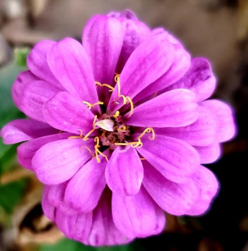 15:18:05 GMT-0800 (PST)