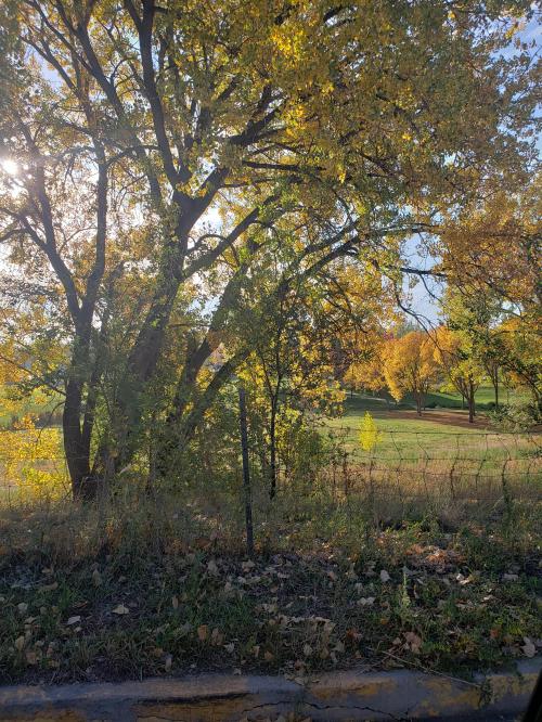 06:34:17 GMT-0700 (MST)