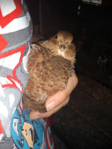 08:27:49 GMT-0600 (CST)