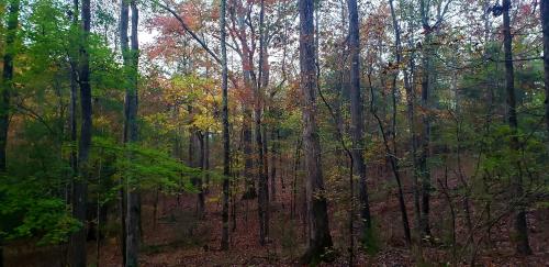 19:01:39 GMT-0500 (EST)