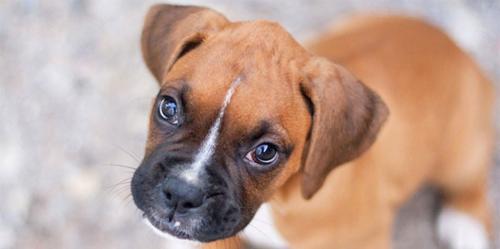 slide_image_2 (2017_07_12 18_01_46 UTC)