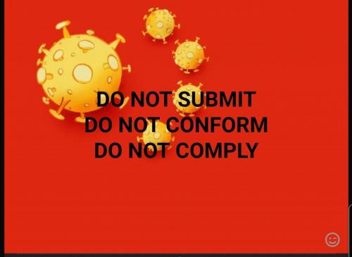 IMG_20201112_153815_375