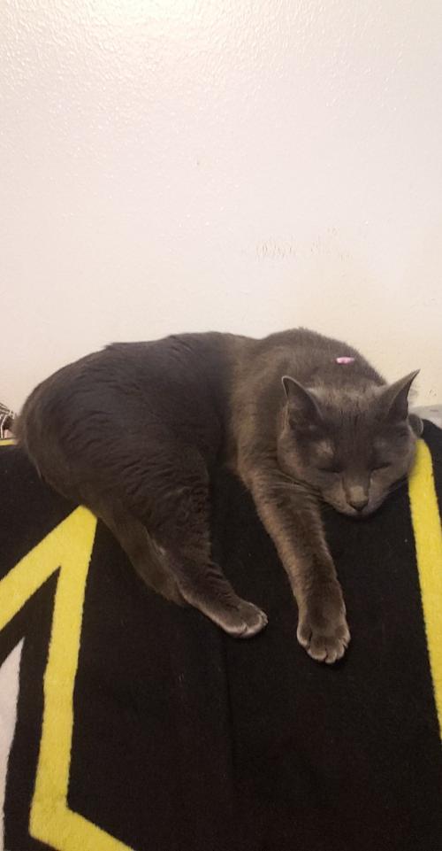 12:52:19 GMT-0700 (MST)