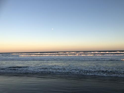 C840158C-6C24-4606-9A9A-0FCB1C9EF02E