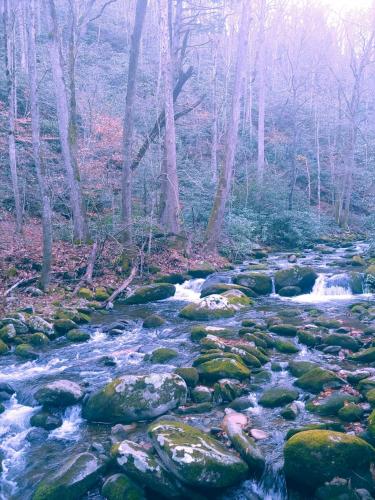 12:38:14 GMT-0500 (EST)