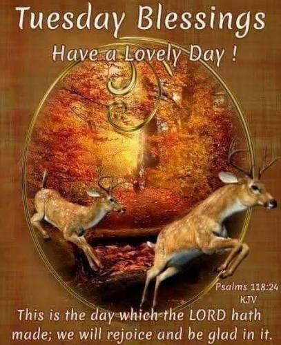 09:35:50 GMT-0600 (CST)