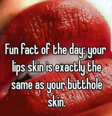 117391805_10214513520912101_4088583468035772905_n