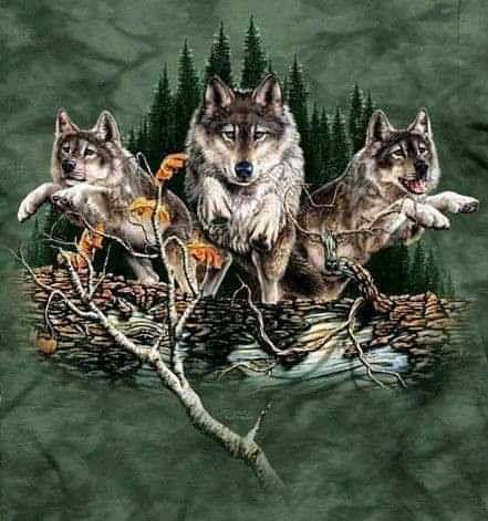 08:29:19 GMT+0200 (EET)