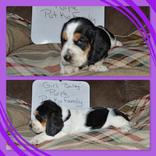 100480188_858808397958740_4243450318630682624_o