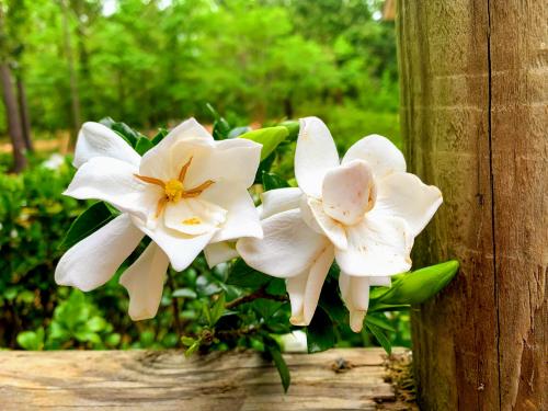 09:05:58 GMT-0500 (EST).image