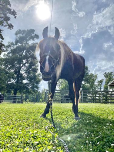 14:24:08 GMT-0600 (CST).image