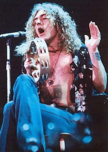 tumblr_c40aeea92480e0a355552366321a0381_0fd35872_500